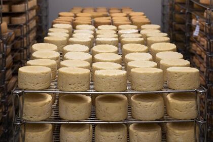 Cheeses please: Two NorCal creameries win Best of Show awards at California State Fair
