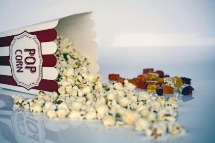 Struggling North Bay movie theater seeks community support