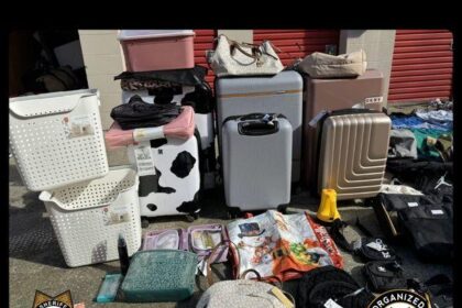 K worth of stolen Dick’s Sporting Goods merchandise recovered in South Bay: authorities