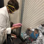 Trump Administration Now Looking Into Building Immigrant Detention Camp In Solano County