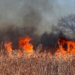 Sonoma County website offers resources to help residents prepare for wildfire season