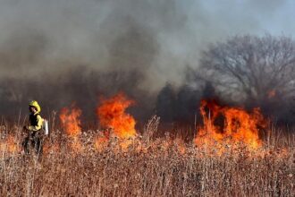 Sonoma County website offers resources to help residents prepare for wildfire season