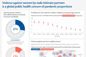 SJ domestic violence study disappoints: City spent 0K, received no recommendations
