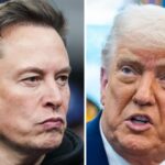 The Inevitable Trump-Musk Feud Has Arrived, and Should Be Hilarious