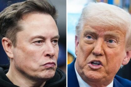 The Inevitable Trump-Musk Feud Has Arrived, and Should Be Hilarious