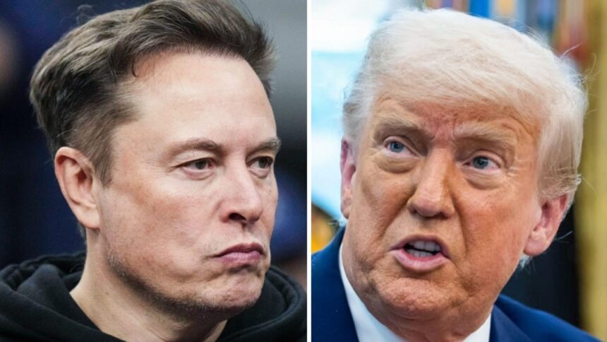 The Inevitable Trump-Musk Feud Has Arrived, and Should Be Hilarious