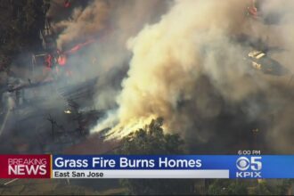 San Jose Grass Fire Update: Evacuation Orders Lifted as Safety is Restored!