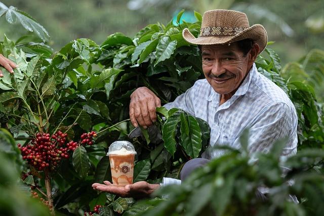 Uncover San Francisco’s Best-Kept Secret: A Colombian Restaurant with an Irresistible Hidden Menu!