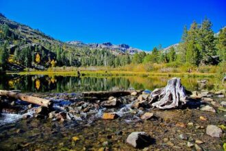 Eight Lake Tahoe drowning victims identified in boating tragedy