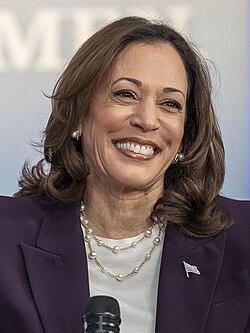 Shocking Insights: Kamala Harris Would Still Have Fallen Short Even with Increased Voter Turnout!
