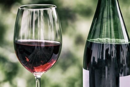 A spirited celebration: Taste Mendocino pairs wine, gourmet food tastings this Saturday