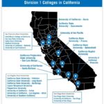 Are California Colleges Throwing Away Millions on Ineffective Plagiarism and AI Detection Tools?