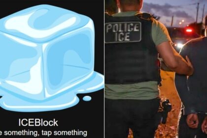 Empower Your Community: Report ICE Activity Instantly with the New ICEBlock App!