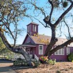 Free and Tasty: Summer Meal Program for Kids and Families in Mendocino County!