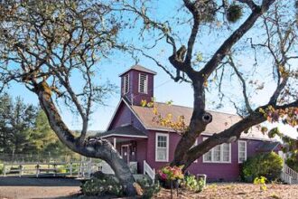 Free and Tasty: Summer Meal Program for Kids and Families in Mendocino County!