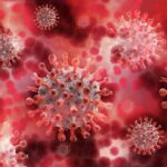COVID-19 Cases Soar in the San Francisco Bay Area: A Winter Surge Like No Other!