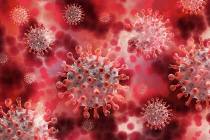 COVID-19 Cases Soar in the San Francisco Bay Area: A Winter Surge Like No Other!