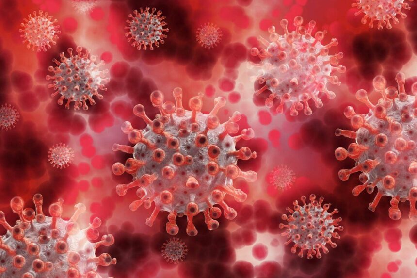 COVID-19 Cases Soar in the San Francisco Bay Area: A Winter Surge Like No Other!