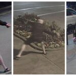 Relentless Vandal Strikes Fairfield Burger Joint Seven Times in a Single Month!