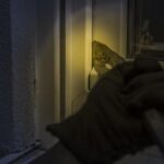 S.F. prosecutors: Suspected home burglar used this technique to open garage doors across the city – San Francisco Chronicle