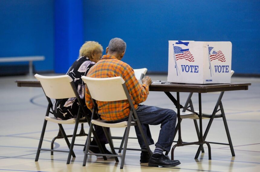 Empowered Elders: Uniting for Change Through Voting, Protests, and Creative Expression!