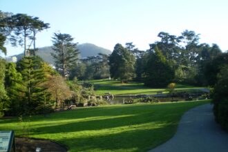 Prepare for a Spectacular Musical Celebration: Golden Gate Park Concerts Promise Thrilling Performances and Exciting Changes!