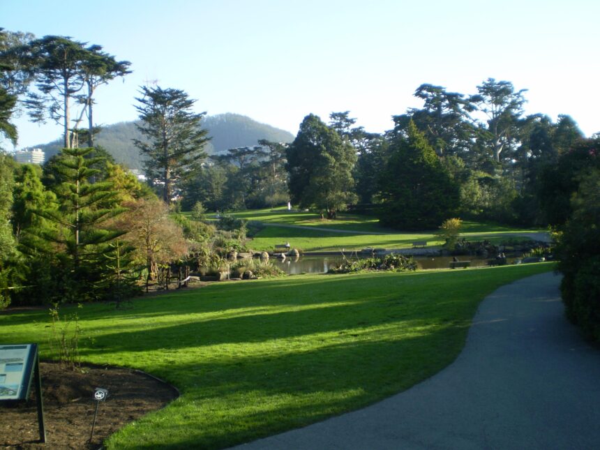Prepare for a Spectacular Musical Celebration: Golden Gate Park Concerts Promise Thrilling Performances and Exciting Changes!
