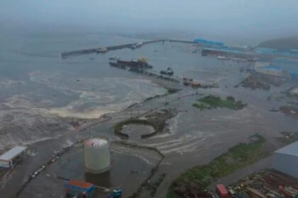 Tsunami seen rocking boats near San Francisco in time-lapse video – FOX Weather