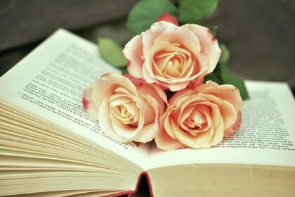 Uncover Your Next Literary Obsession: How BookBub is Transforming Affordable Reading for Avid Bibliophiles!
