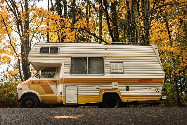 Unleashing Imagination: Creative Campers Turn Repurposed Materials into Stunning Art with Betsabeé Romero