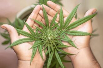 Oakland’s Underground Smoke Shop Raided: Shocking Discovery of Weed, Ecstasy, and Shrooms!
