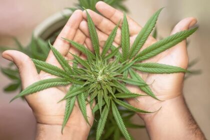 Oakland’s Underground Smoke Shop Raided: Shocking Discovery of Weed, Ecstasy, and Shrooms!