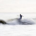 Wave Riders: Adorable Dogs Take on the Surf at Pacifica’s Epic Championships!