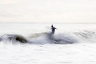 Wave Riders: Adorable Dogs Take on the Surf at Pacifica’s Epic Championships!