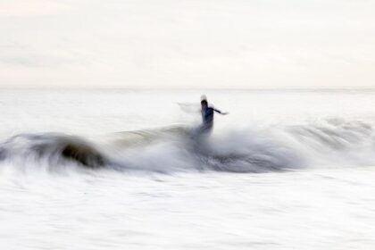 Wave Riders: Adorable Dogs Take on the Surf at Pacifica’s Epic Championships!