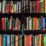 Uncover Hidden Gems and Cherished Favorites at SJ’s Recycle Bookstore-Plus, Meet the Charming Cat!