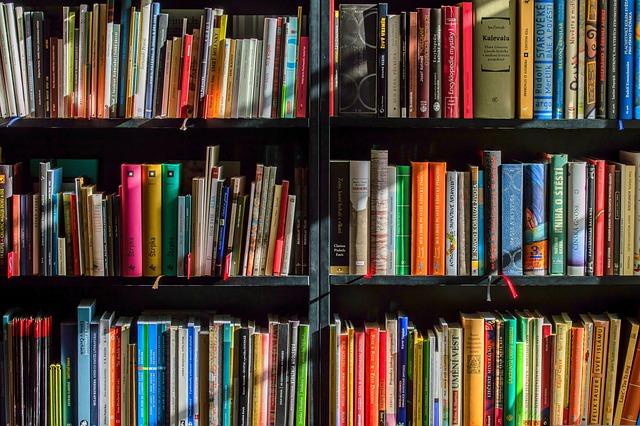 Uncover Hidden Gems and Cherished Favorites at SJ’s Recycle Bookstore-Plus, Meet the Charming Cat!