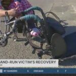Heartbreaking Hit-and-Run Tragedy Strikes Vallejo