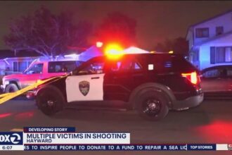 Heartbreaking Shooting in Hayward Leaves One Dead and Two Wounded