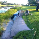 Transforming Bayview Hunters Point: A Bold Vision for Shoreline Restoration and Climate Resilience