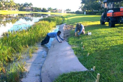 Transforming Bayview Hunters Point: A Bold Vision for Shoreline Restoration and Climate Resilience
