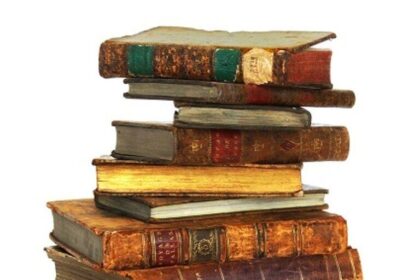 From Sow’s Ear to Silk Purse: Ian McEwan’s Art of Transformation