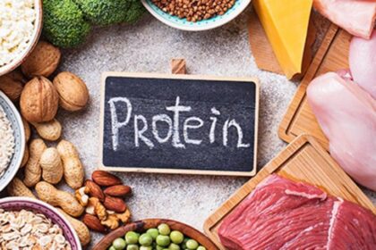 Discover the Key to Slowing Brain Aging: The Power of This Protein and How You Can Harness It!