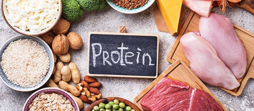 Discover the Key to Slowing Brain Aging: The Power of This Protein and How You Can Harness It!