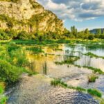 Guadalupe River Trail Thrives: Increased Visitors and Wildlife Encounters After Cleanup Efforts