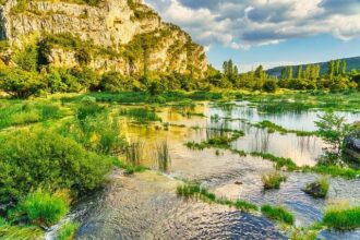 Guadalupe River Trail Thrives: Increased Visitors and Wildlife Encounters After Cleanup Efforts