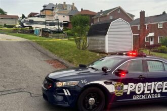 Brentwood Police Spring into Action: Middle School Student Found with Gun in Backpack Brentwood Police Spring into Action: Middle School Student Found with Gun in Backpack