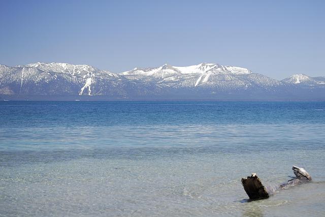 WTF, South Lake Tahoe? Mayor Pro Tem Arrested for Assault, One Day After Mayor Admits Embezzlement
