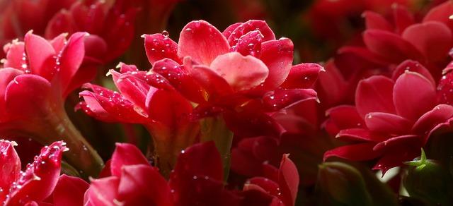 Morning Jolt: East Bay Residents Rattled by Unexpected Earthquake!