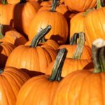 Revitalizing a Community: How a Pumpkin Patch is Bringing Joy to Local Kids